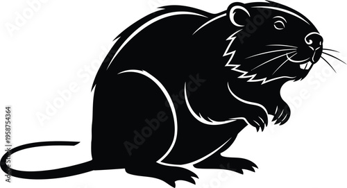 A black and white illustration of a rodent