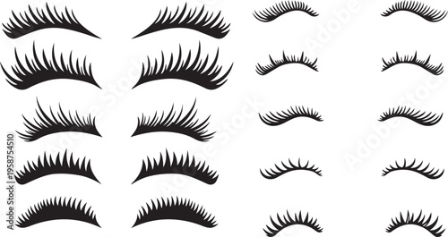 Eyelash Collection: An array of meticulously crafted, elegant eyelashes, presented in a striking black and white design. These elements embody beauty and style.