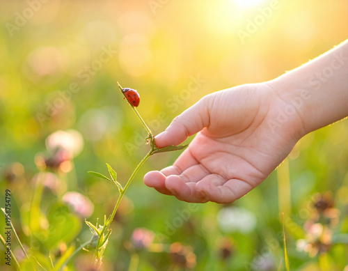 A gentle childs hand reaches for a ladybug in a sunlit field, symbolizing curiosity and nature conservation. Perfect for educational, environmental, or organic lifestyle projects.