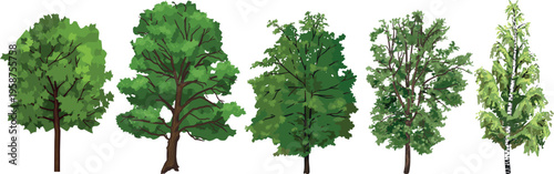 Green trees collection for landscape design isolated on white background	