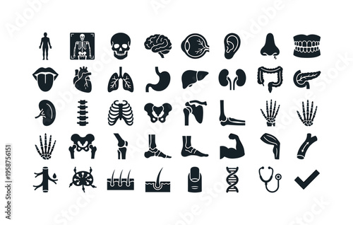 Collection of human anatomy and medical icons for healthcare and science
