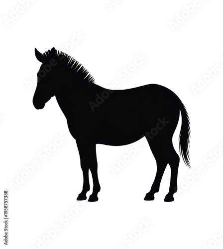 Black silhouette of a standing horse on white background vector illustration EPS PNG file