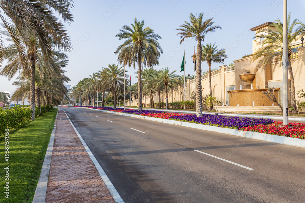 Fototapeta premium Palm trees line a quiet, sunlit road