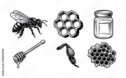 A set of vintage honey and beekeeping illustrations. Includes a bee, honeycomb, jar, and dipper. Perfect for branding, packaging, and logos for natural, organic food products.