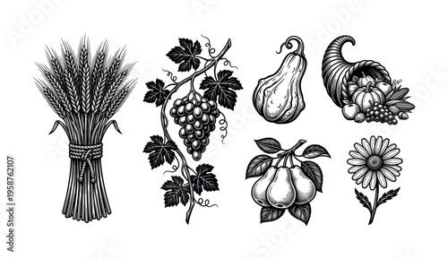 A set of vintage harvest symbols in a black and white engraving style. Includes wheat, grapes, and a cornucopia. Perfect for Thanksgiving, autumn, or farm themes.