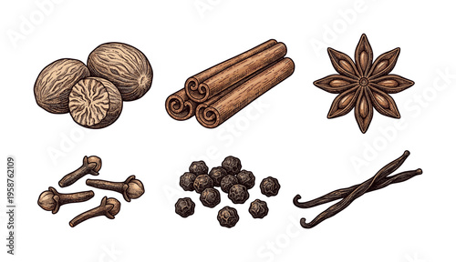 Set of aromatic spices in vintage engraving style. Includes cinnamon, anise, cloves, pepper, nutmeg, vanilla. Vector illustration for menus, packaging, or culinary branding.