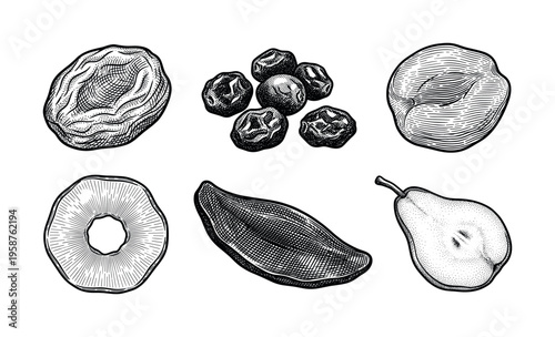A set of various dried fruits in a vintage engraving style. Hand-drawn vector illustration for healthy food packaging, recipes, or organic product design. Includes pear, mango, raisin.