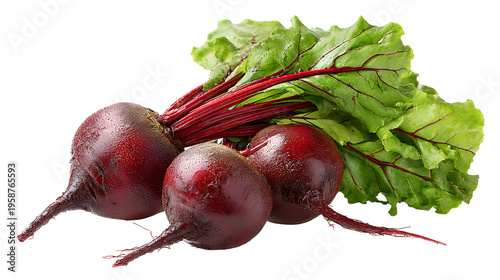 Fresh beetroot with leafy greens attached, healthy vegetable ingredient, isolated on white background