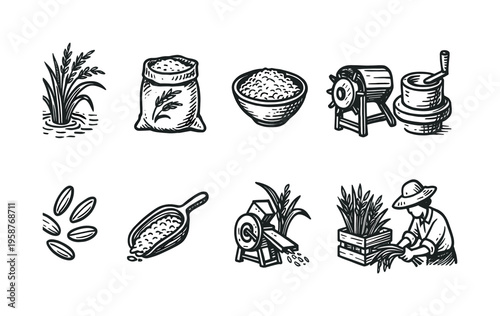 Collection of hand-drawn icons illustrating the rice cultivation and processing journey
