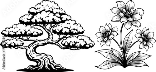 Stylized black and white bonsai tree and flowering plant illustration.