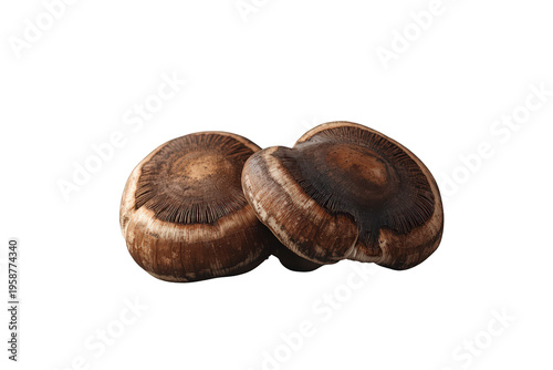 Two fresh portobello mushrooms standing, showing their brown caps and dark gills, transparent background