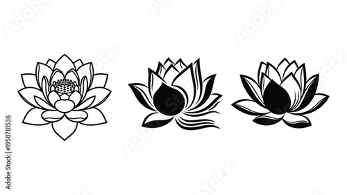 Black and white illustration of three lotus flowers in varying stages of bloom