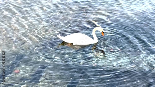 water splash in the water