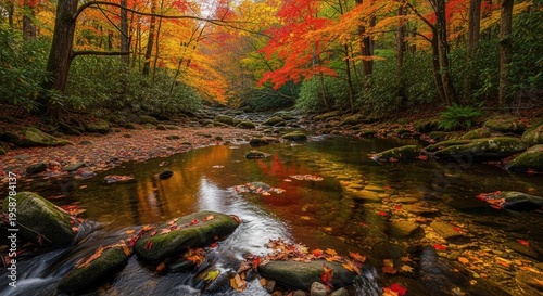 Serene Autumn Forest Stream Scene with Vibrant Foliage and Rocky Shoreline