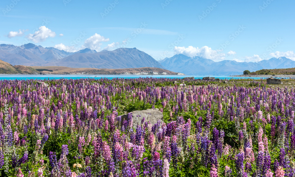 Fototapeta premium lake tekapo