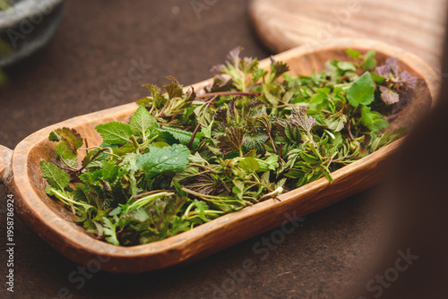 Wooden tray of freshly harvested green wild herbs for tea infusion