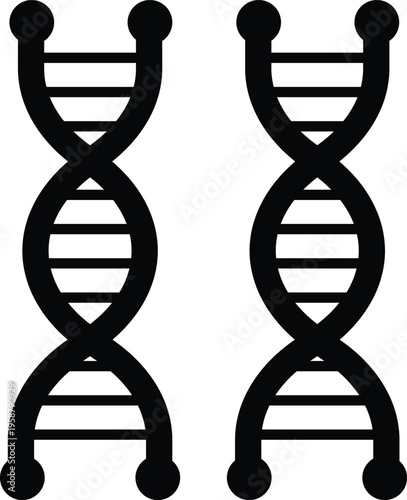 Two black d n a helix on white background double helix