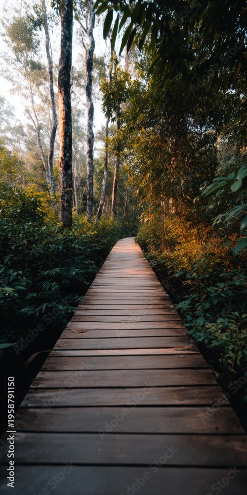 Naklejka premium Sunlit wooden walkway through dense forest with warm golden light on foliage and planks offering inviting tranquil nature path