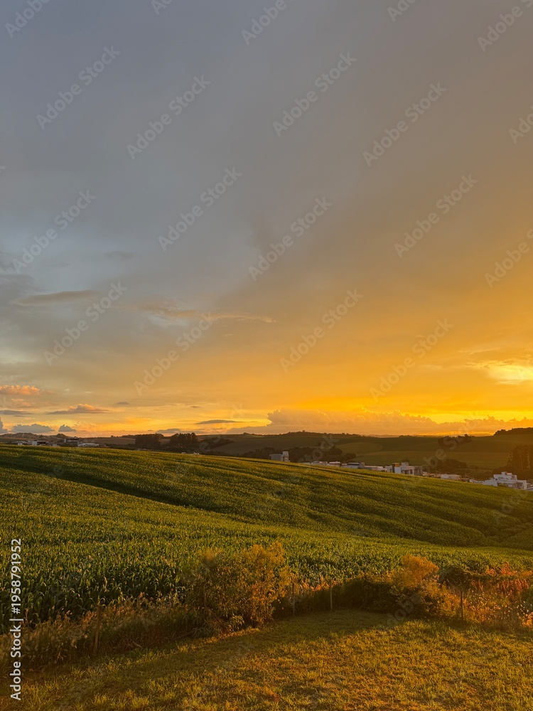 Fototapeta premium lindo pôr do sol 