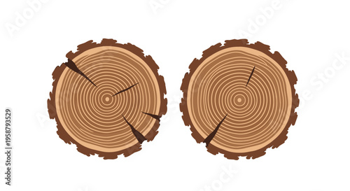 Two circular wooden tree stumps showing annual rings and cracks are placed side by side on a plain white background.