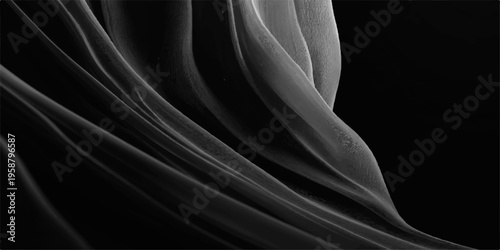 Abstract monochrome composition of flowing fabric, revealing textures and shapes, ideal for adding elegance and artistry to your visual projects.