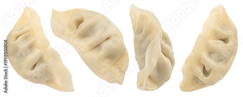 Chinese Gyoza dumplings Isolated on white background