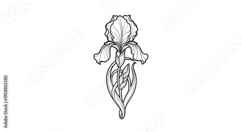 Art Nouveau style iris flower monochrome line art