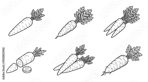 carrot , 6 black line isometric 3d vector collection , white background , PNG and SVG isolate