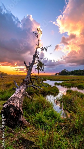 Striking marshland scene with a fallen tree at sunset under a dramatic sky
