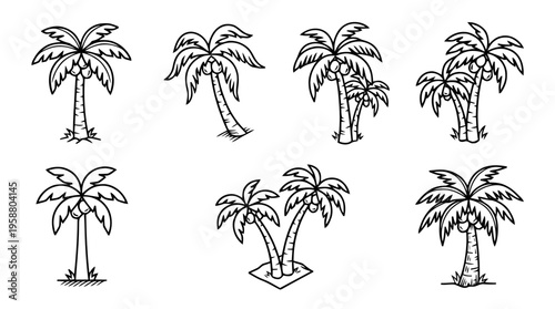 coconut tree , 6 black line isometric 3d vector collection , white background , PNG and SVG isolate