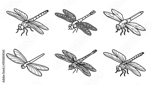 dragonfly , 6 black line isometric 3d vector collection , white background , PNG and SVG isolate
