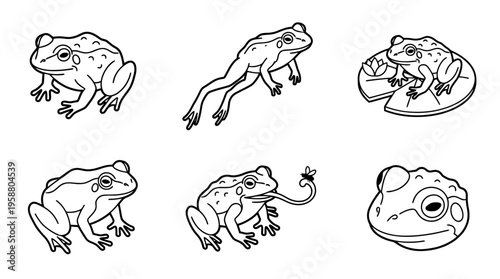 frog , 6 black line isometric 3d vector collection , white background , PNG and SVG isolate