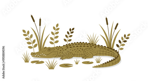 An olive-green crocodile lies among brown reeds and lily pads on a plain white background.