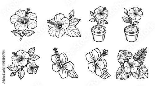 hibiscus , 6 black line isometric 3d vector collection , white background , PNG and SVG isolate