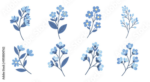 Eight distinct branches with small blue flowers and dark blue-green leaves are arranged individually on a light gray-blue background.