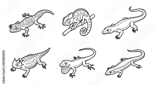 lizard , 6 black line isometric 3d vector collection , white background , PNG and SVG isolate