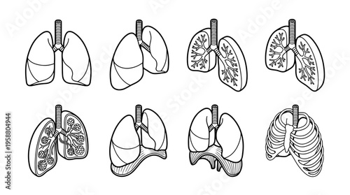 lungs , 6 black line isometric 3d vector collection , white background , PNG and SVG isolate