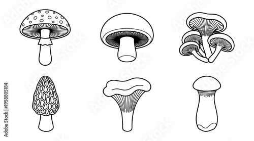 mushroom , 6 black line isometric 3d vector collection , white background , PNG and SVG isolate