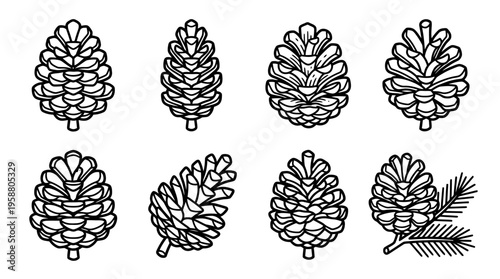 pine cone , 6 black line isometric 3d vector collection , white background , PNG and SVG isolate