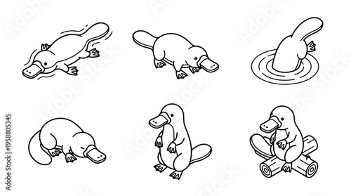 platypus , 6 black line isometric 3d vector collection , white background , PNG and SVG isolate