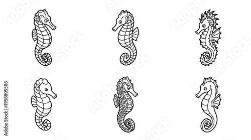 seahorse , 6 black line isometric 3d vector collection , white background , PNG and SVG isolate