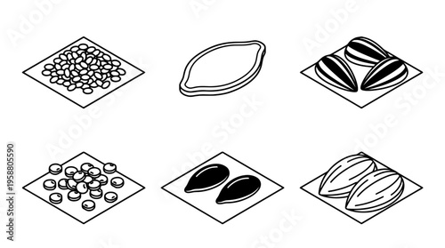 seeds , 6 black line isometric 3d vector collection , white background , PNG and SVG isolate