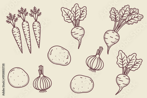 Hand drawn outline vegetables carrots beets onions potatoes