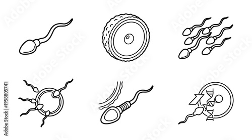 sperm and egg , 6 black line isometric 3d vector collection , white background , PNG and SVG isolate