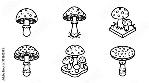 toadstool , 6 black line isometric 3d vector collection , white background , PNG and SVG isolate