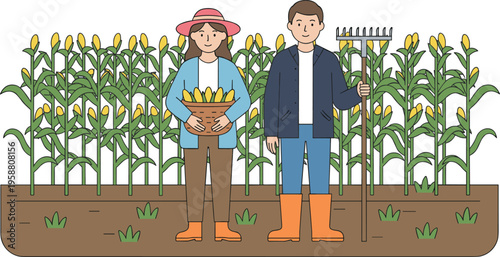 Colorful vector illustration of farmers harvesting corn symbolizing agriculture, teamwork, and rural lifestyle