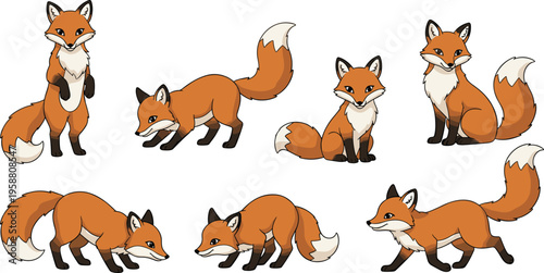Vector illustration of six red fox characters in different poses, showcasing expressive body language, cartoon style, wildlife and character design