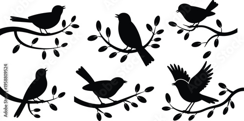 Bird silhouette illustration, six diverse icons of perched birds on leafy branches in varied poses, wildlife nature theme, vector art, black isolated bold design