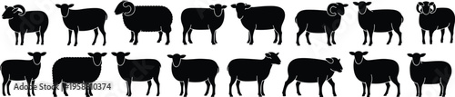 Silhouette sheep collection showcasing diverse breeds, horn shapes, and wool textures in black vector design, perfect for agriculture, farming, livestock, and educational illustrations