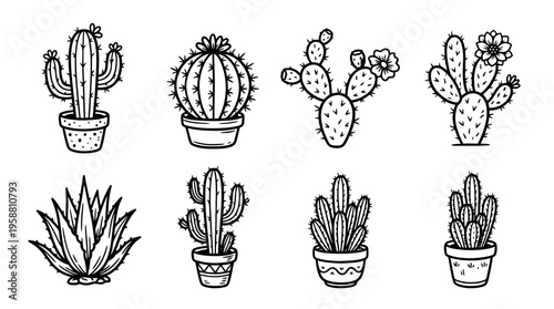 cactus line vector set. black color sketches style on white background. Vector illustration.